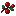 sweet berries
